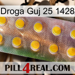 Guj Drug 25 1428 new11